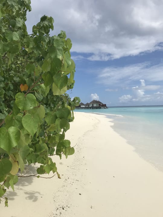 Strand Safari Island Maldives