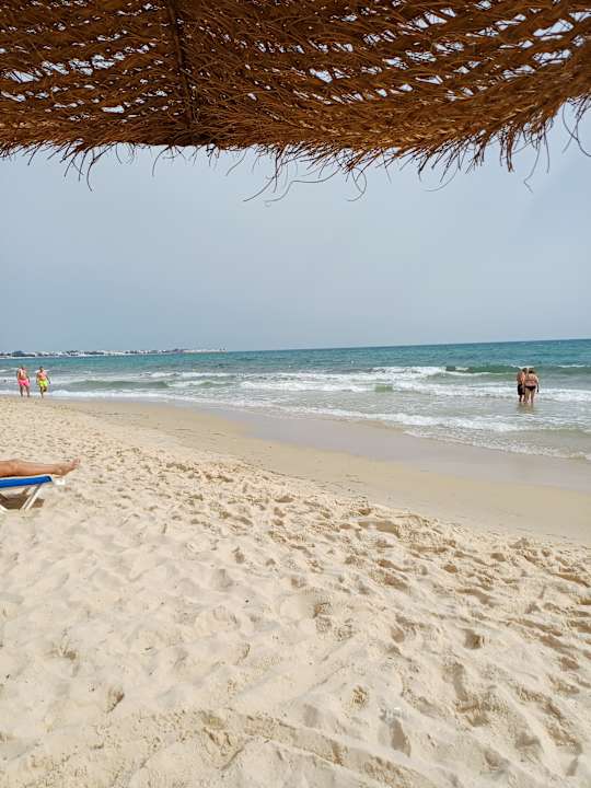 Strand Sentido Phenicia