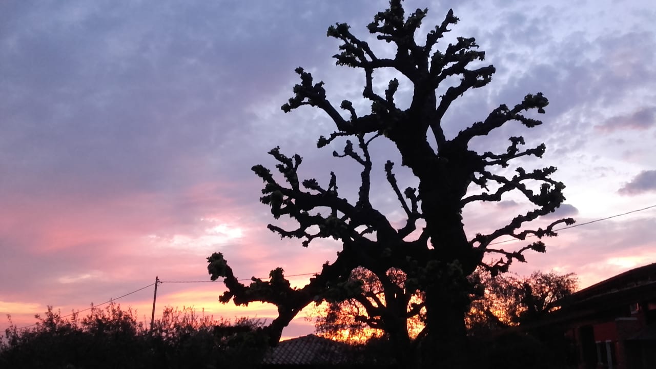 Ausblick Agriturismo Le Tese