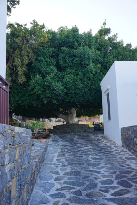 Gartenanlage Creta Maris Resort