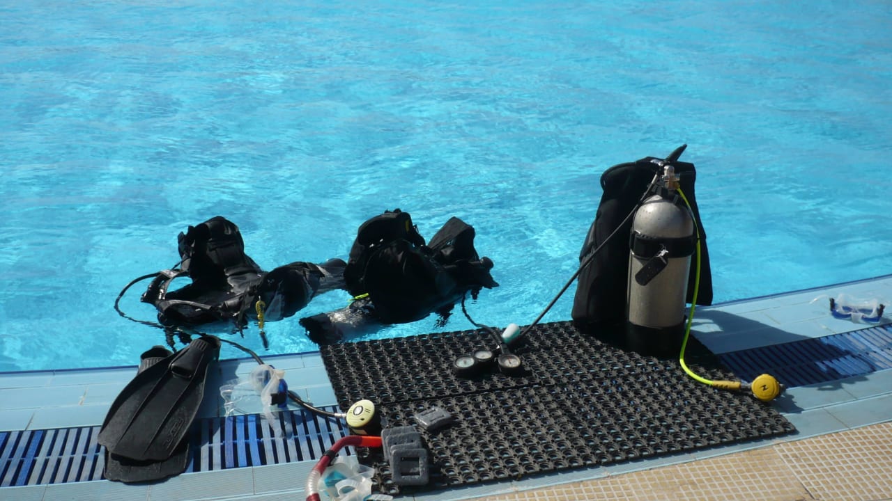 Tauchkurse Desert Rose