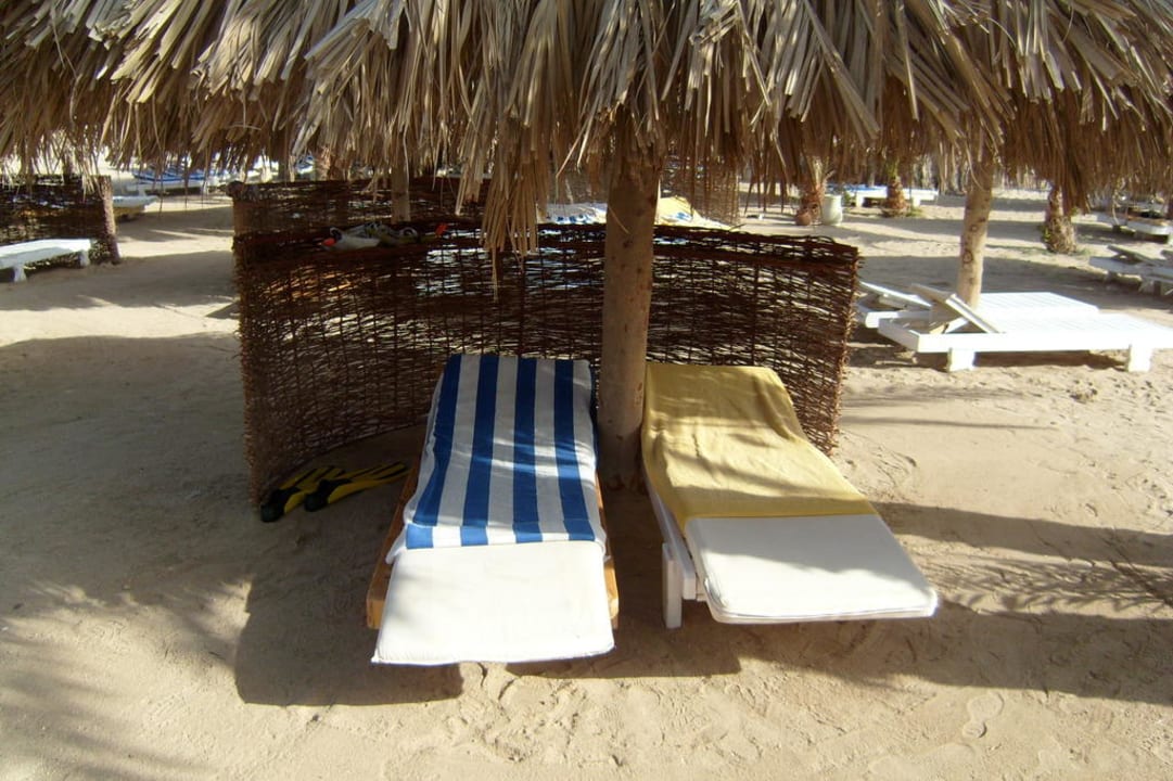Schattenplatz Utopia Beach Club