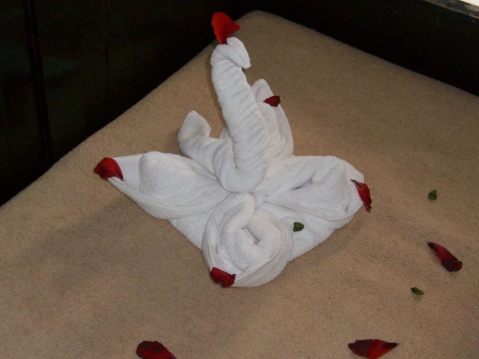 Handtuchkunstwerke Arabella Azur Resort