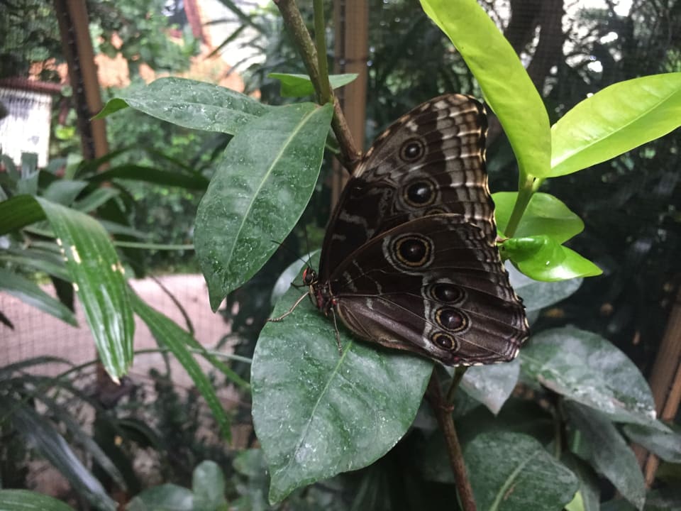 Gartenanlage Tropical Islands Resort