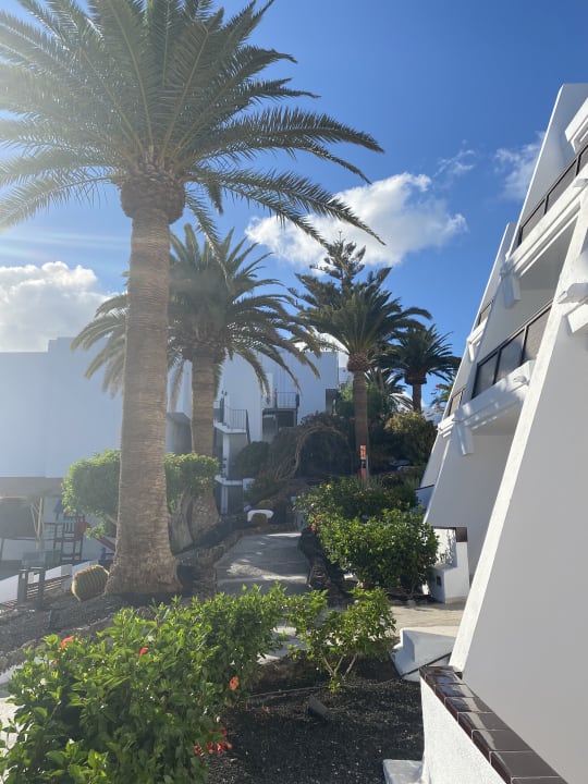 Gartenanlage Sol Fuerteventura Jandia - All Suites