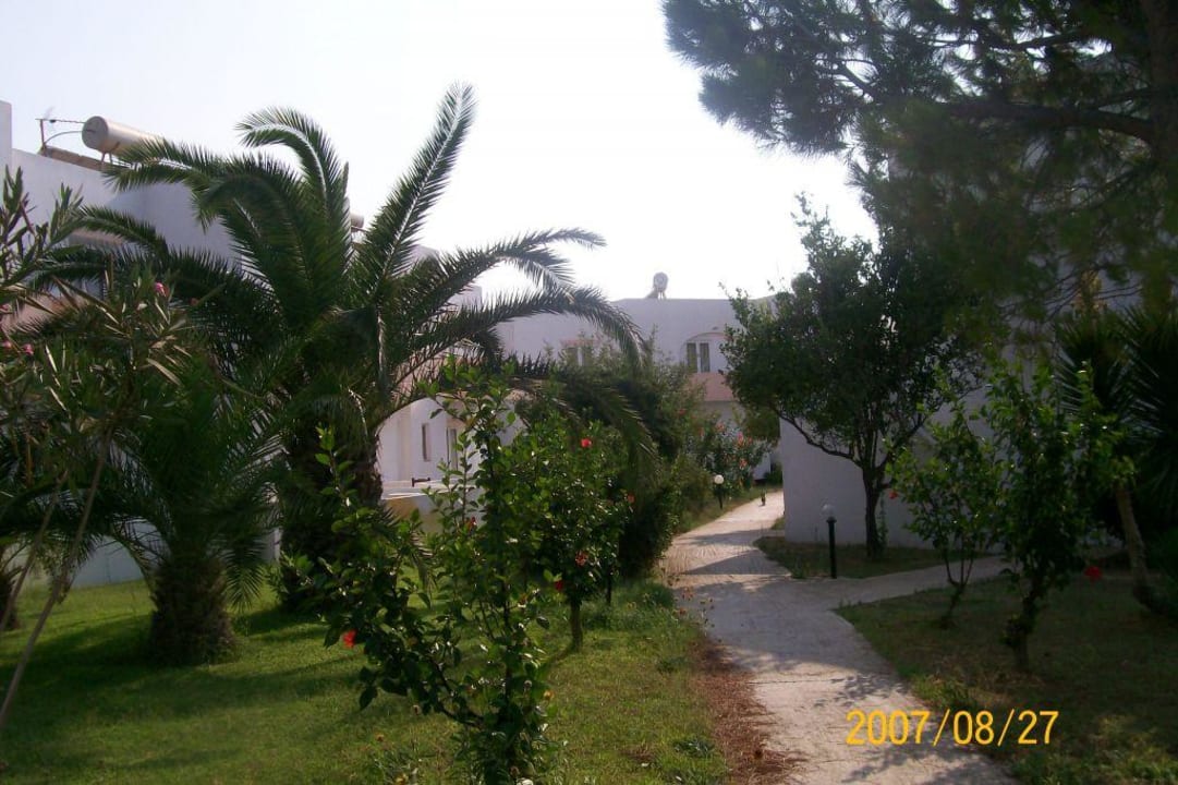Ogród hotelowy Hotel Apollonia