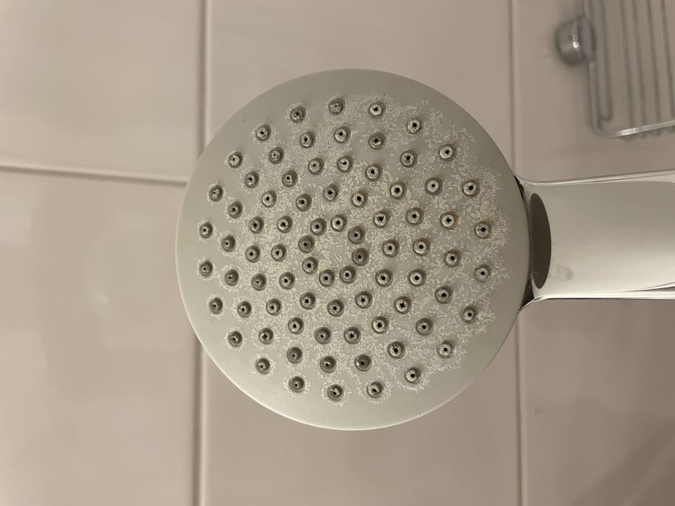 Zimmer Hotel Fischer