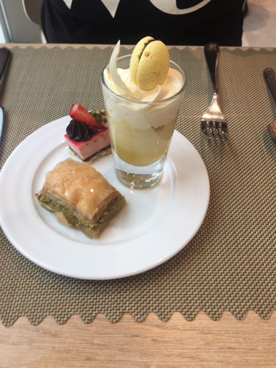 Gastro Acanthus Cennet Barut Collection