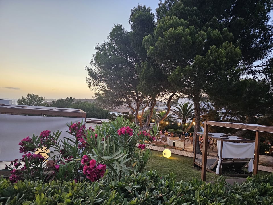 Außenansicht Insotel Club Tarida Playa