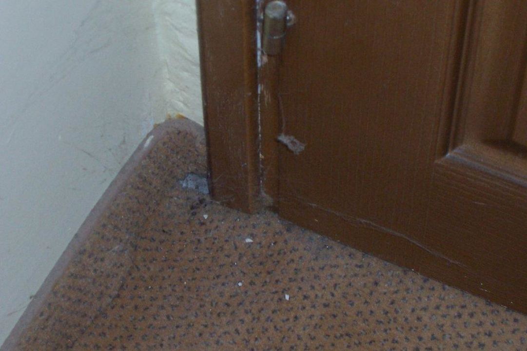 Die "Sauberkeit" hinter der Zimmertüre Hotel Hrizantema
