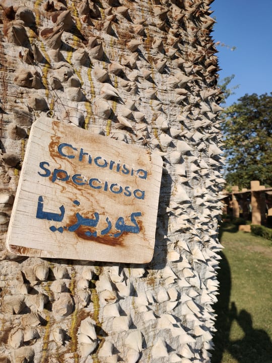 Außenansicht Jolie Ville Kings Island Luxor