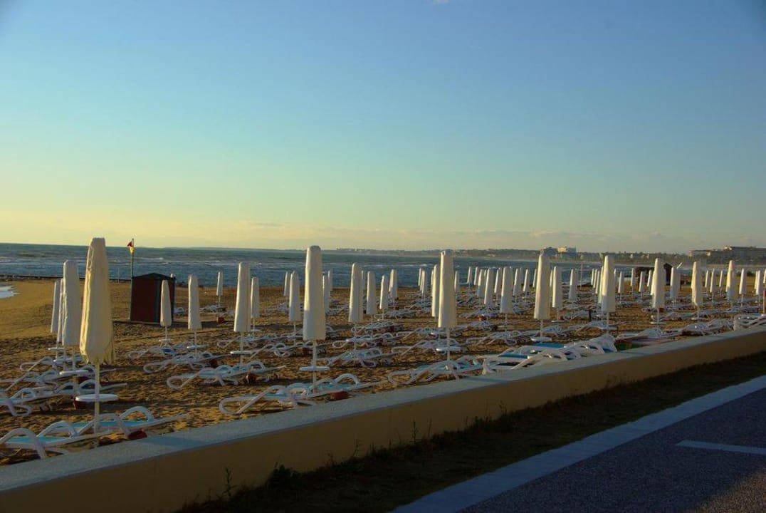 Strand am 12.12.2011 PALOMA Perissia