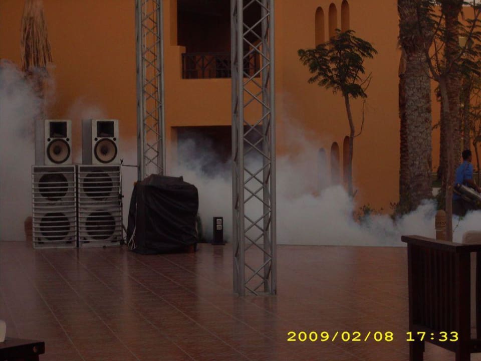 Da schmeckt der Kaffee Stella Beach Resort & Spa Makadi Bay