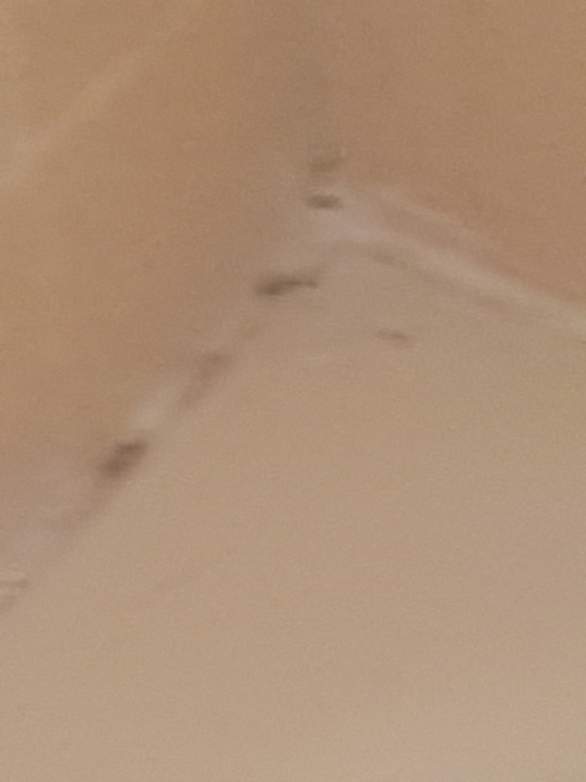 Zimmer Hotel Super 8 St Augustine I 95