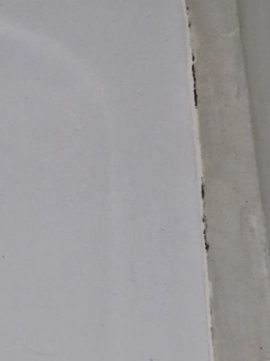 Zimmer Hotel Albatros