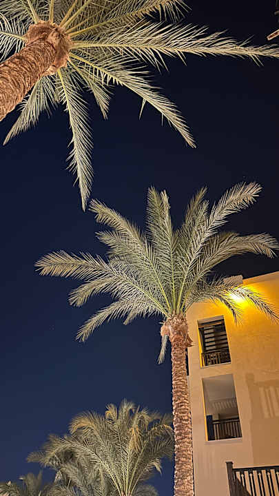 Gartenanlage Steigenberger Aqua Magic