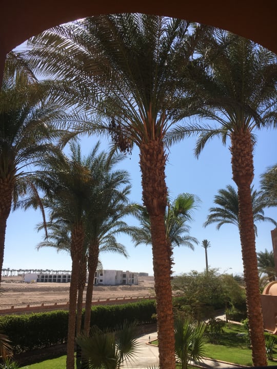 Ausblick Jaz Makadi Oasis Resort