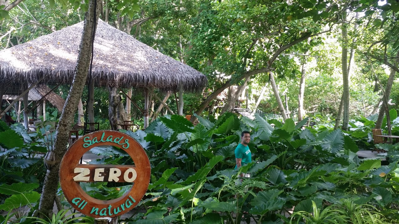 Jungle Villa Park Sun Island