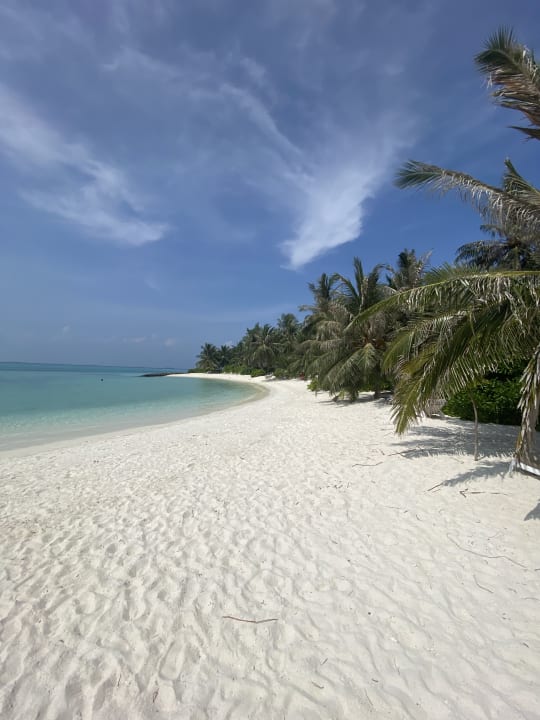 Strand Summer Island Maldives