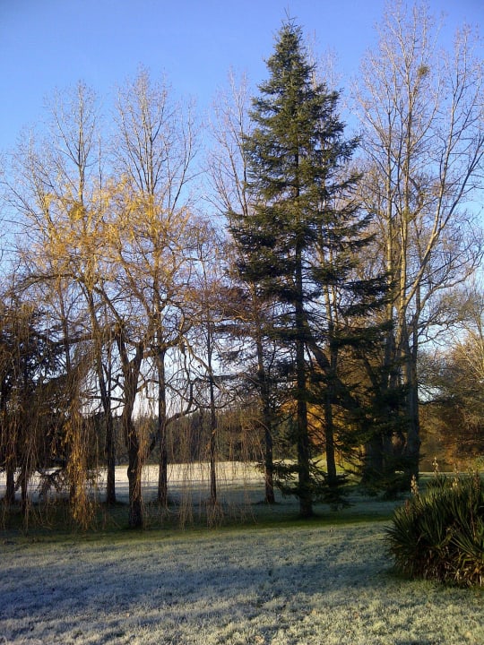 Park 16 ha Hotel Chateau De La Colaissiere