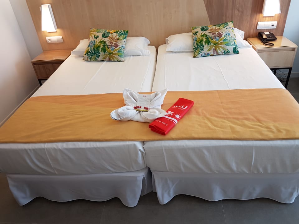 Zimmer Hotel Riu Playa Park