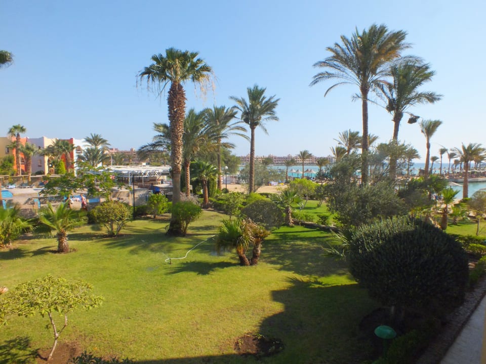 Nie duży ale zadbany Arabia Azur Resort