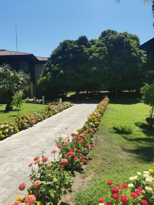 Gartenanlage TUI BLUE Palm Garden