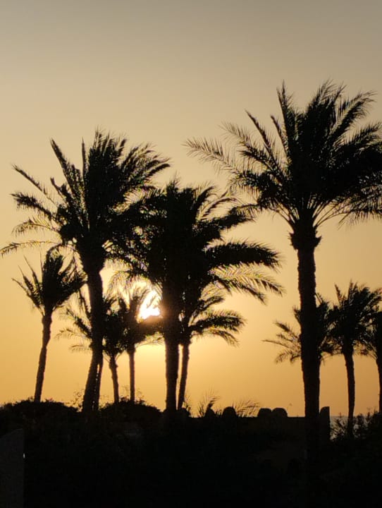 Außenansicht Grand Makadi