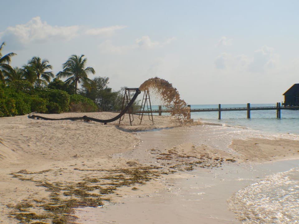 Damit Kuredu auch morgen noch da ist Kuredu Island Resort & Spa