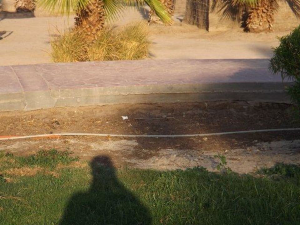 Gehweg sehr hoch sturz Gefahr  Lotus Bay Beach Resort