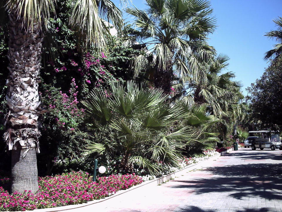 Alles toll gepflegt VONRESORT Golden Beach