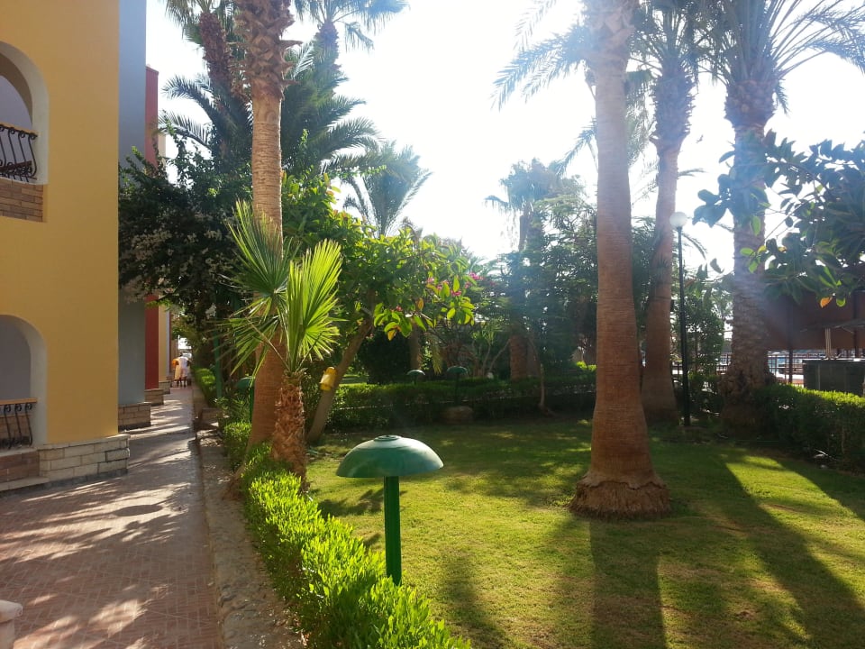 Vor unserem Zimmer Arabia Azur Resort