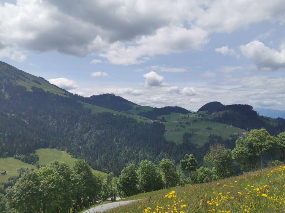 Ausblick Alpengasthof Hotel Gruberhof