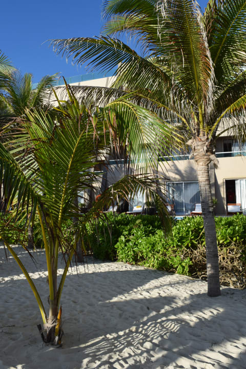 Strand Hotel Flamingo Cancun Resort