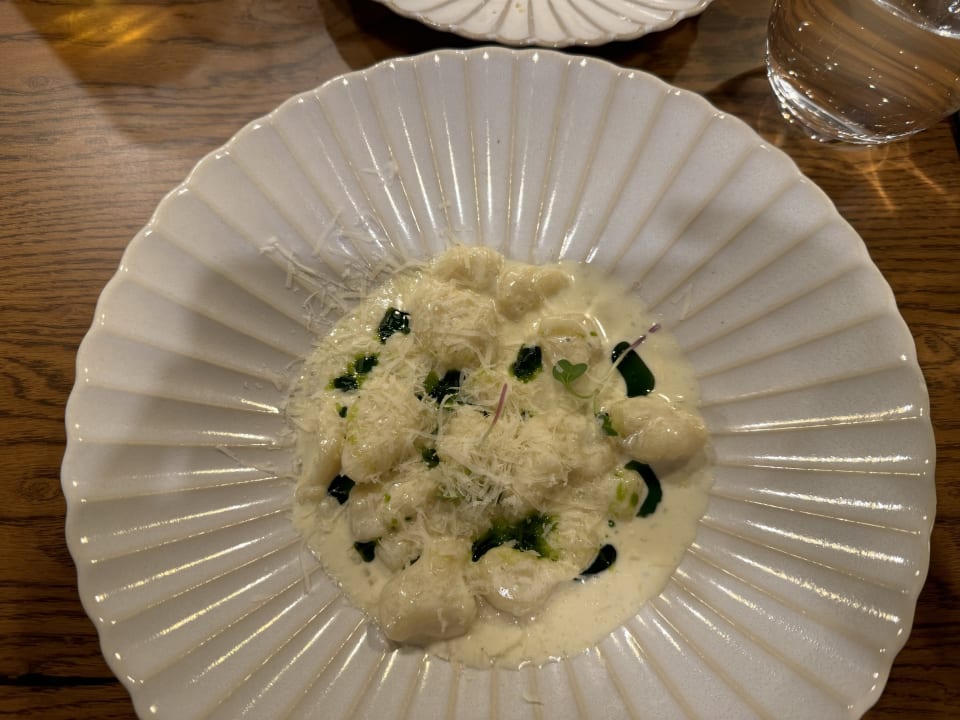 Gastro Acanthus Cennet Barut Collection