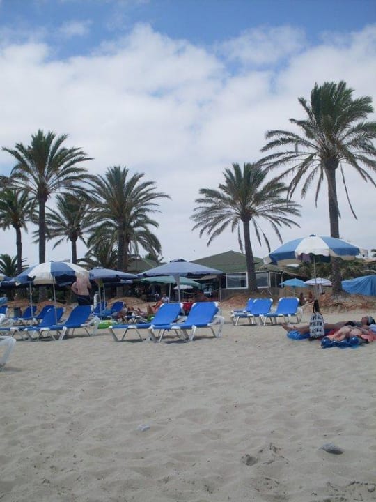 Hotelstrand vom Meer aus gesehen FERGUS Style Bahamas