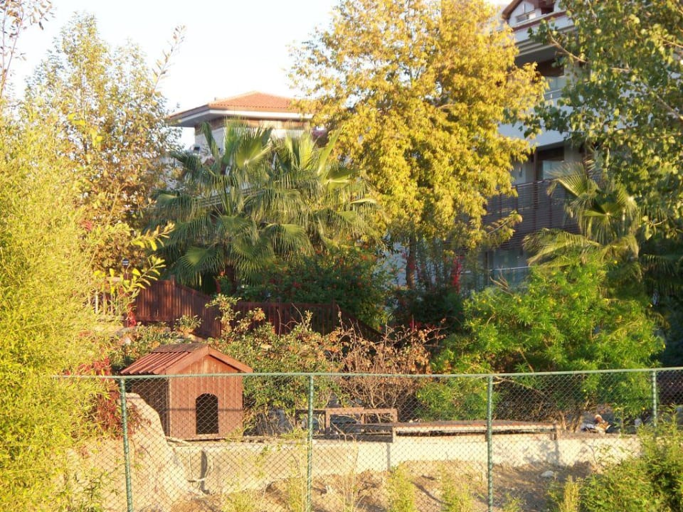 Gartenanlage Alba Resort Hotel