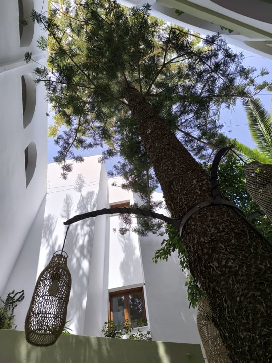 Lobby Alianthos Garden Hotel