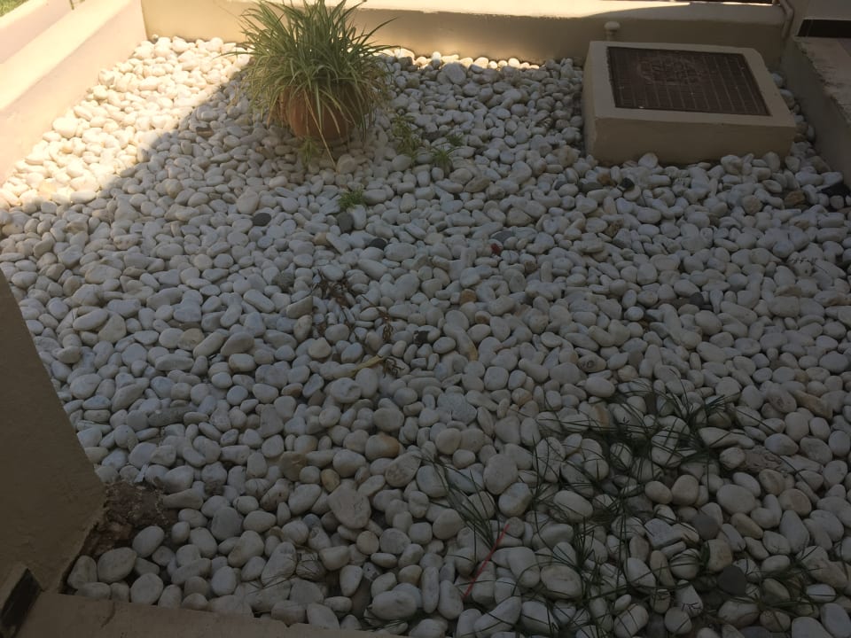 Sonstiges Club Simó Hotel by Senator