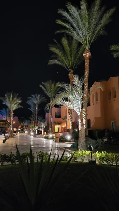 Gartenanlage Jaz Makadi Oasis Resort