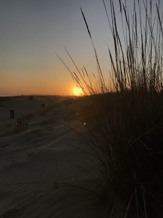 Strand Ozadi Altura Beach Resort