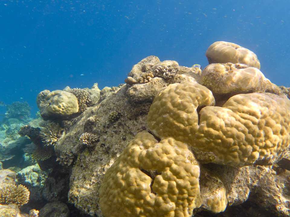 Strand ROBINSON MALDIVES