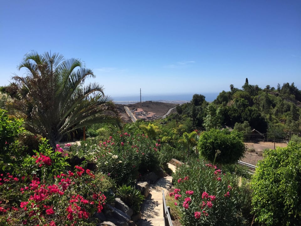 Blick aus dem Garten Casa León Royal Retreat