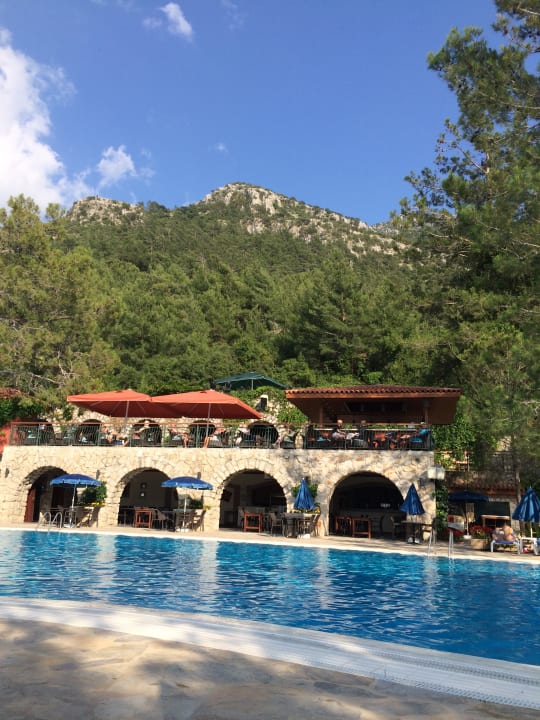 Pool Montana Pine Resort