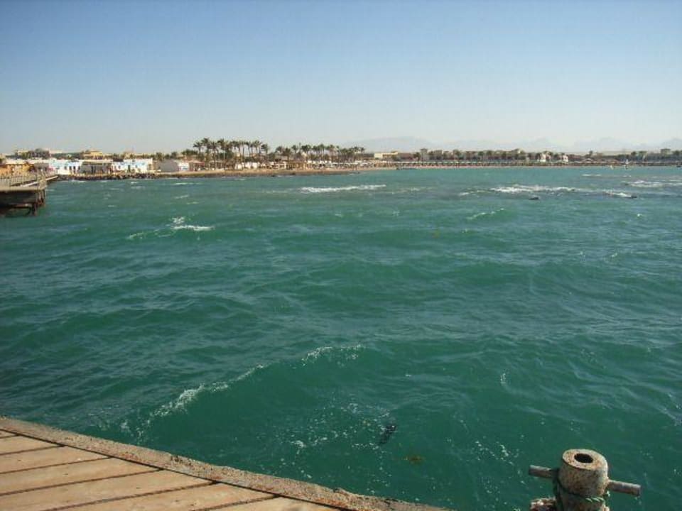 tolles Meer Pickalbatros Dana Beach Resort - Hurghada