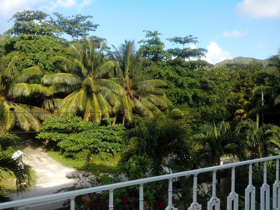 Mainroad Hotel Palm Beach