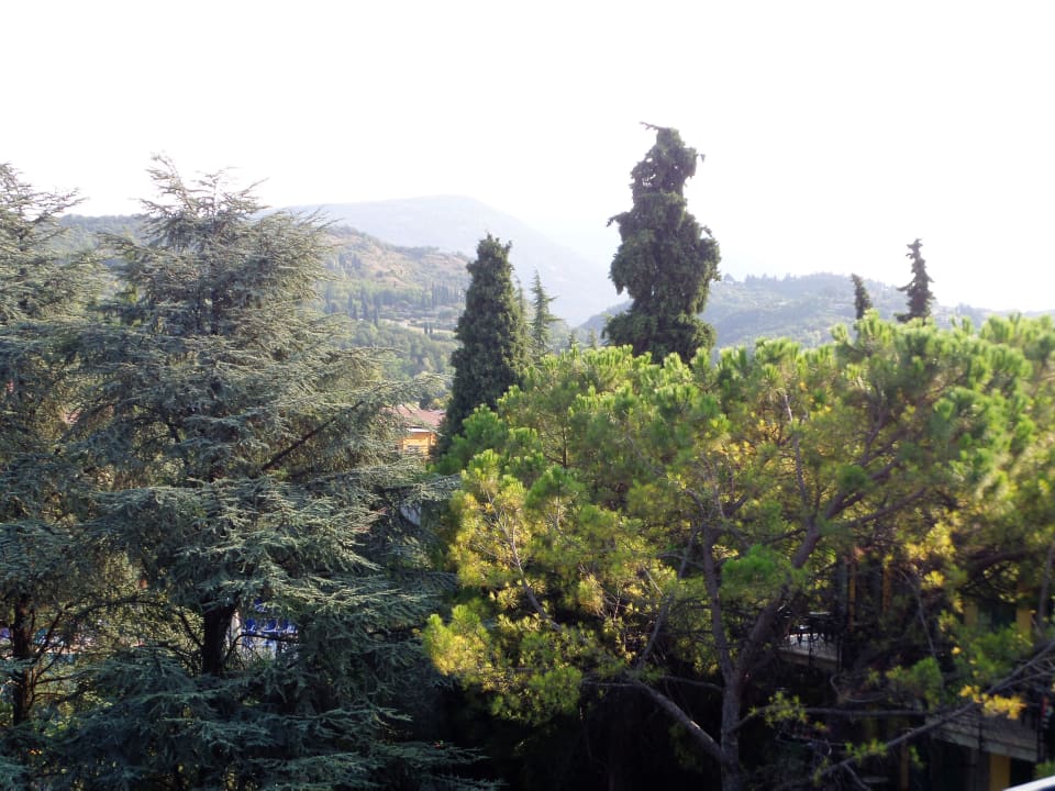 Ausblick Hotel Palme & Suite