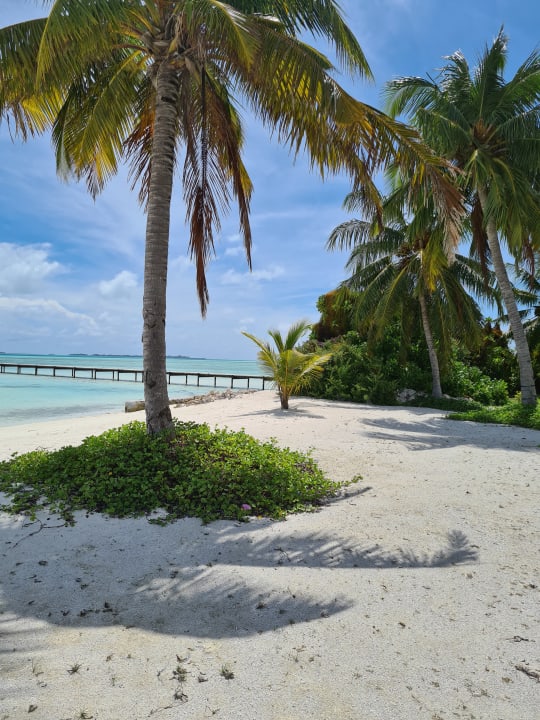 Strand Cinnamon Hakuraa Huraa Maldives