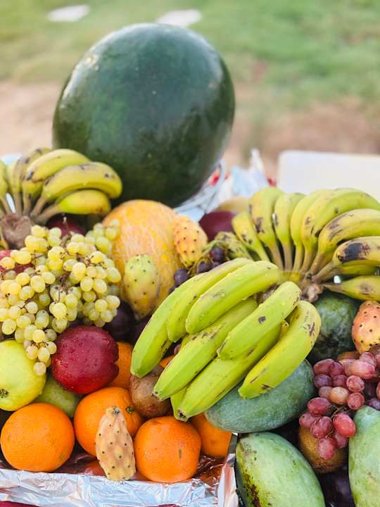 Gastro Shams Prestige Abu Soma-Adults Only