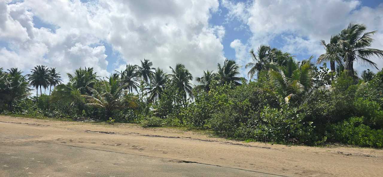 Strand Viva Miches by Wyndham, a Trademark All Inclusive Resort
